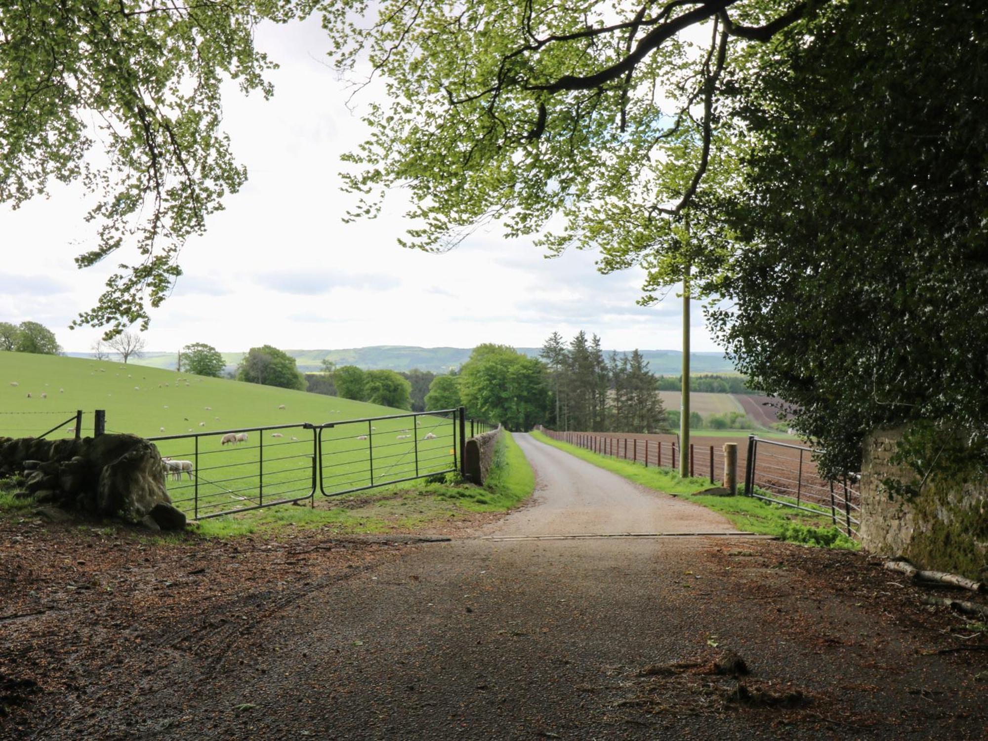 North Lodge Forfar Kültér fotó